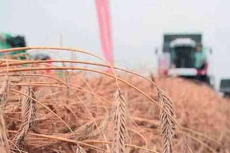 В Армении планируется вдвое нарастить объемы лизинговых операций