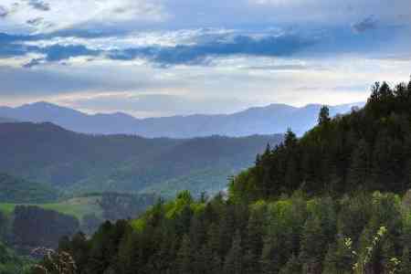 В Армении будет запрещен вывоз древесины в страны, не являющиеся членами Евразийского экономического союза