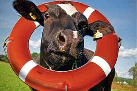 Армения будет признана зоной свободной от ЧМЖ - Минэкономики готовит пакет документов