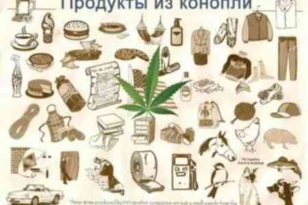 В качестве антикризисных мер правительства в Армени начнут выращивать промышленную коноплю