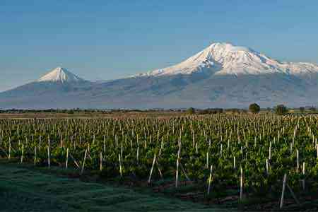 Вина из Армении уже доступны европейскому потребителю: запущена онлайн платформа по продаже армянских вин