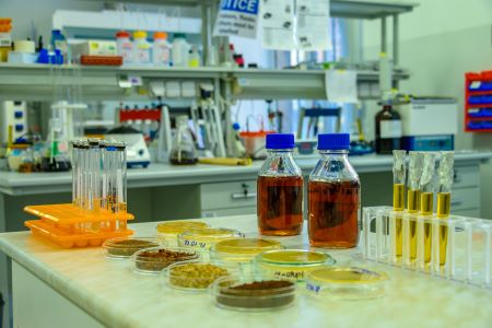 YSU biologists have obtained organic fertilizer from coffee waste