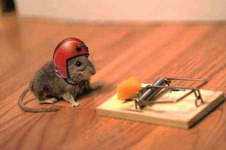 Дешевый сыр только в мышеловке или как турфирма обманула клиентов примерно на 225 млн. драмов