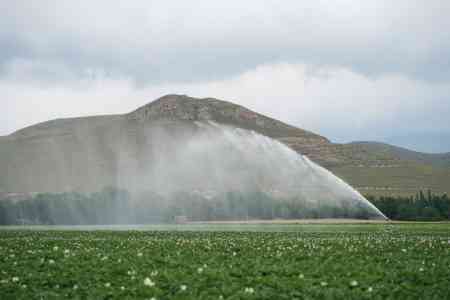 Swiss-funded SIGMA project creates new opportunities for small rural households in Armenia