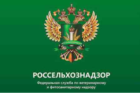 Россельхознадзор обеспокоен систематическими нарушениями карантинных мер в цветочной продукции из Армении