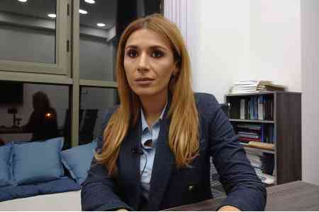 Эксперт: Законопроект о захвате "Электросетей Армении" - классическая косвенная экспроприация