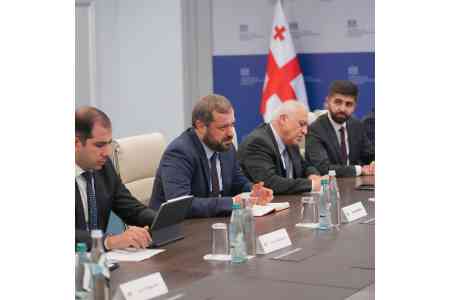 Министр экономики Армении обсудил со своим грузинским коллегой ситуацию с армянскими грузоперевозчиками