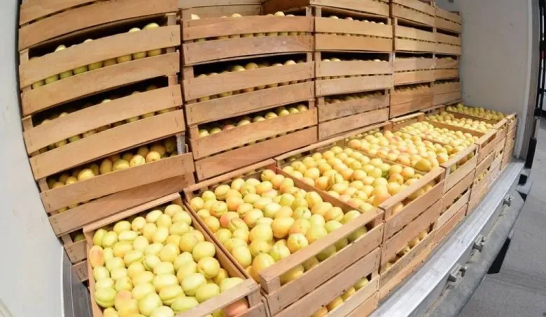 С начала лета из Армении в Россию выехало 1 507 фур с абрикосами