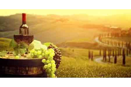 Всемирная организация винного туризма заинтересована в сотрудничестве с Арменией