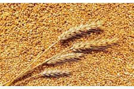 Глава "Грейн Гейтс": использование нового маршрута по территории Азербайджана позволит укрепить устойчивость поставок российской продукции АПК в страны региона