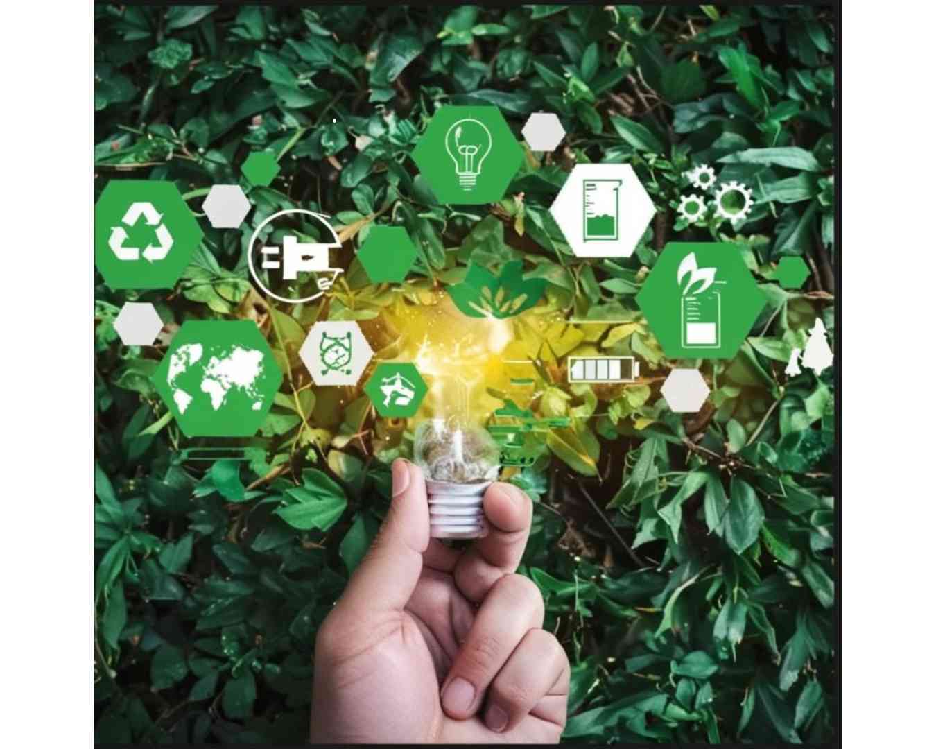 Совет старейшин Еревана утвердил программу климатических мер и устойчивого энергoразвития