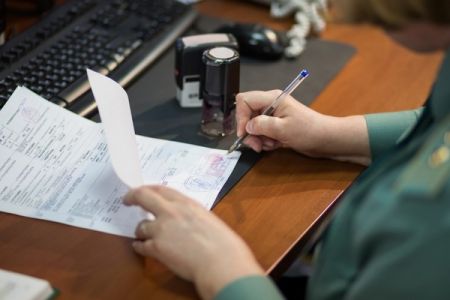 В Армении таможенные проверки будут приближены к налоговым