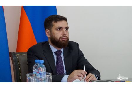 Замглавы МИД Армении обсудил с представителями DANEX перспективы углубления сотрудничества